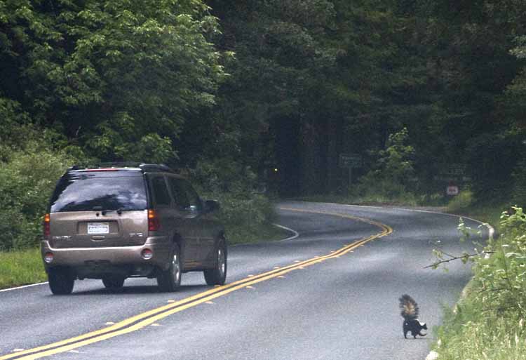 Scenic coastal highway winding through Northern California
