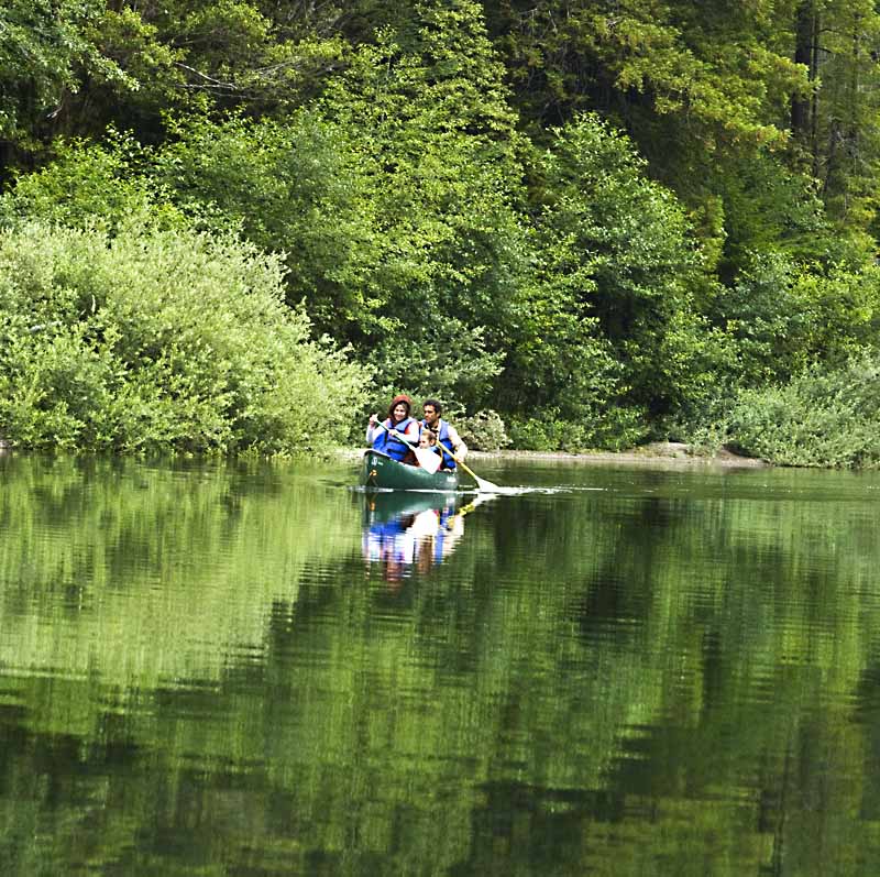 Peaceful canoeing experience on the Gualala River