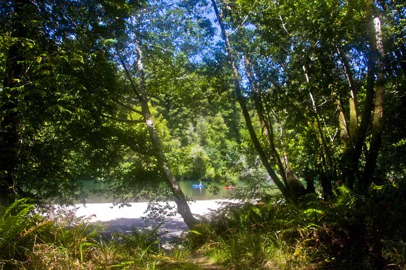 Kayakers navigating the beautiful Gualala River